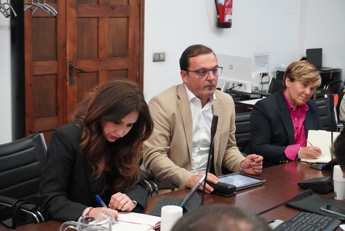 El vicepresidente Andrés Martínez asiste a la Comisión de Turismo de la FEMP